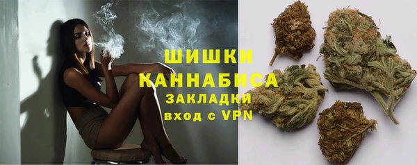 дурь Богородицк