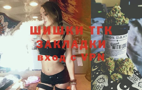 метадон Богданович
