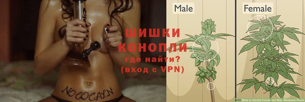 метадон Богданович