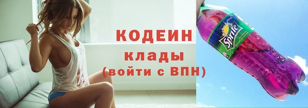 метадон Богданович