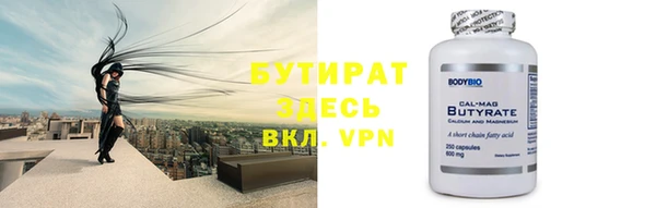 шишки Тайга