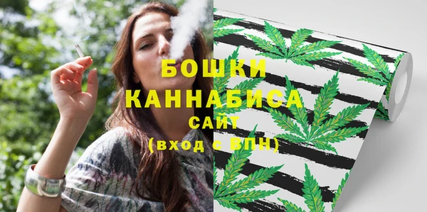дурь Богородицк