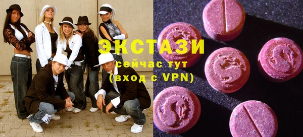 шишки Тайга