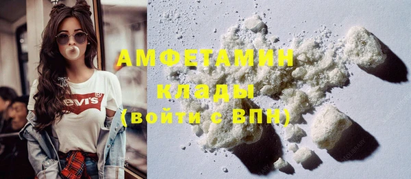 метадон Богданович