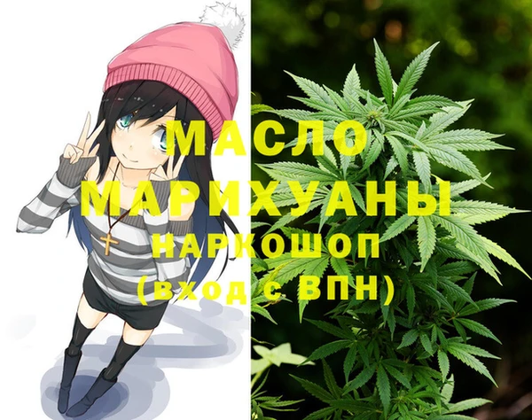метадон Богданович