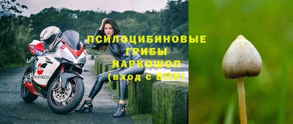 метадон Богданович