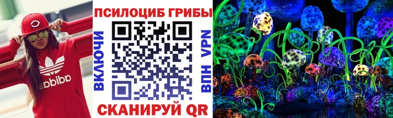 Псилоцибиновые грибы GOLDEN TEACHER Большой Камень
