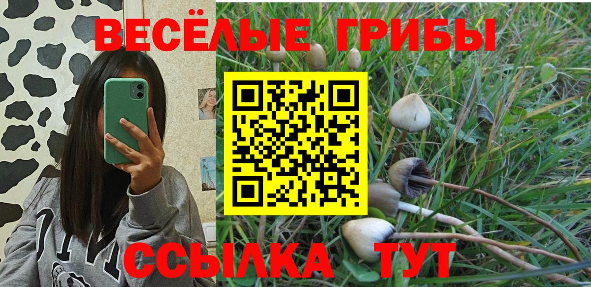 Псилоцибиновые грибы Psilocybine cubensis Большой Камень