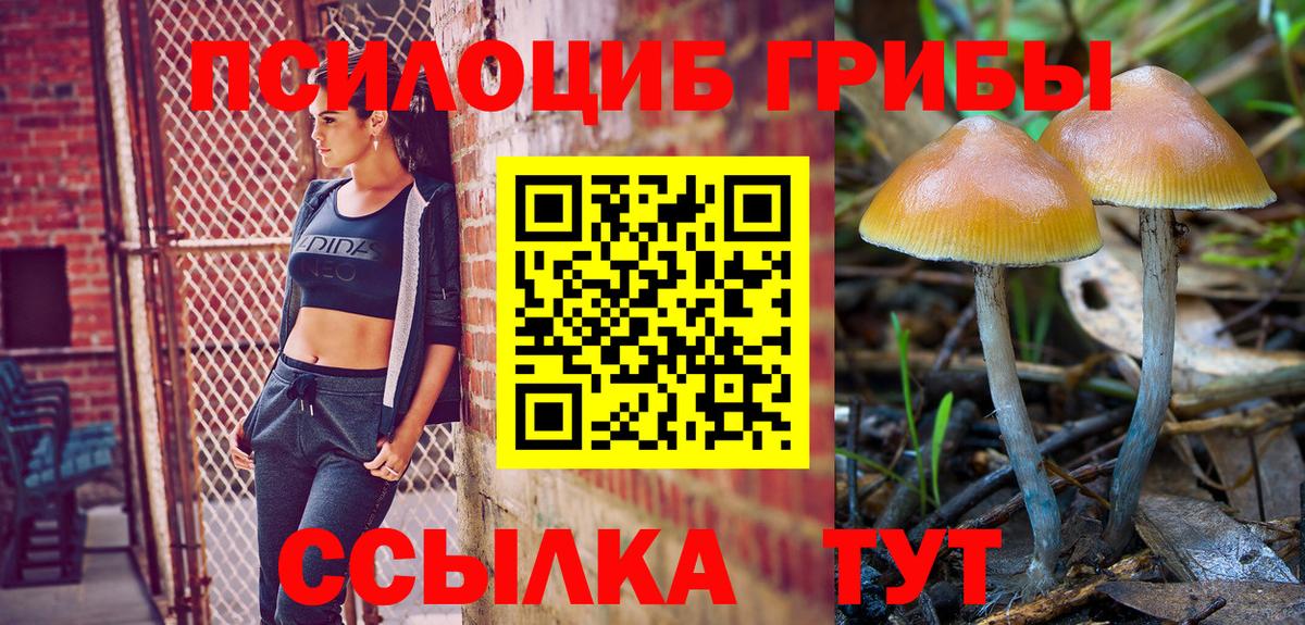 Галлюциногенные грибы ЛСД Большой Камень