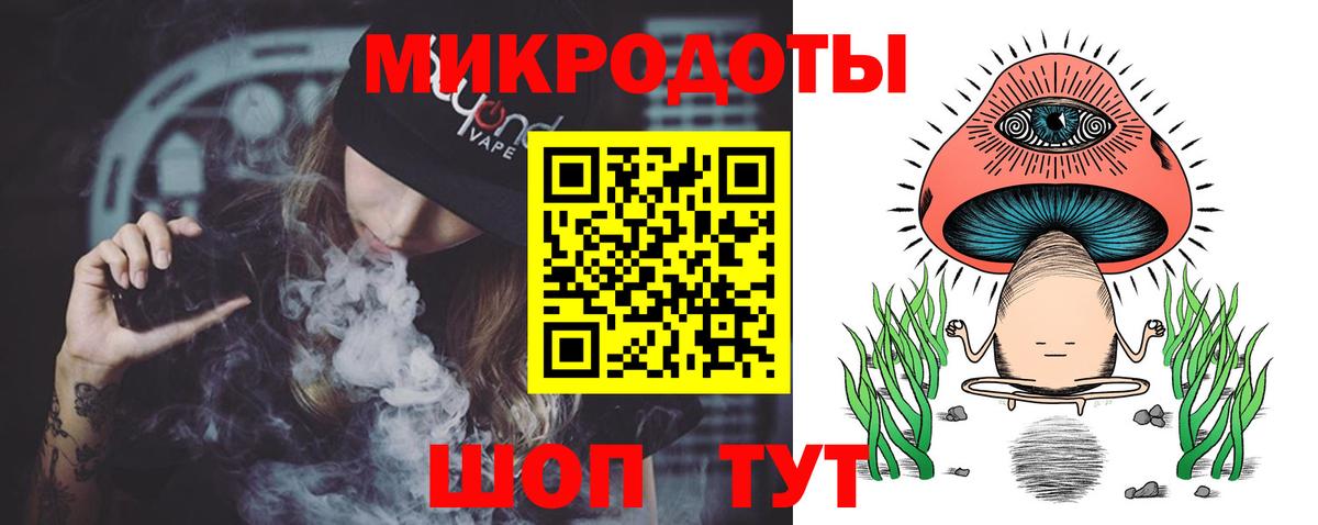 Галлюциногенные грибы Psilocybine cubensis  Большой Камень 