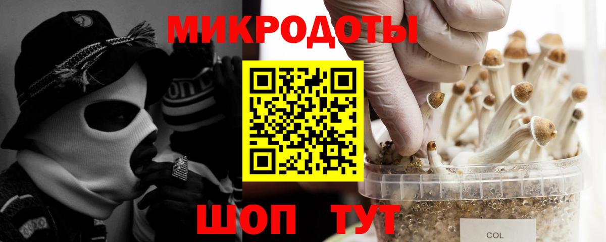 Большой Камень  Псилоцибиновые грибы Magic Shrooms  Вход с VPN  что такое   Галлюциногенные грибы Magic Shrooms 
