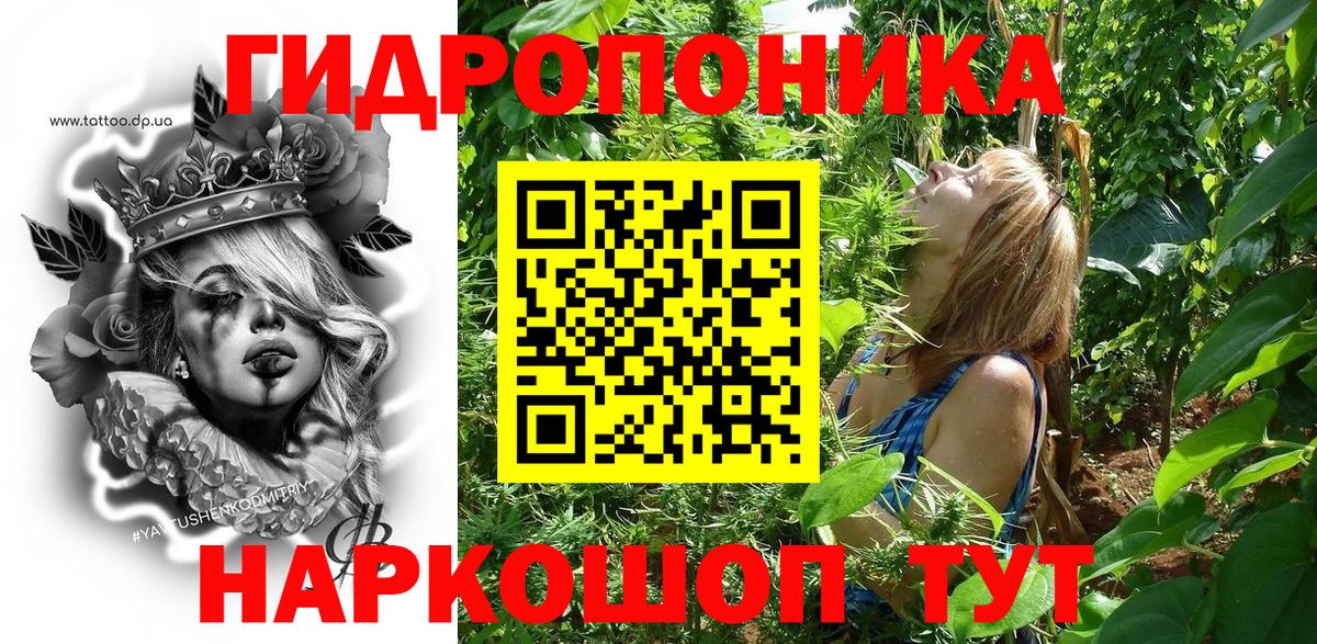 Бошки марихуана семена  Большой Камень  Канабис гибрид  МАРИХУАНА семена  Марихуана LSD WEED 